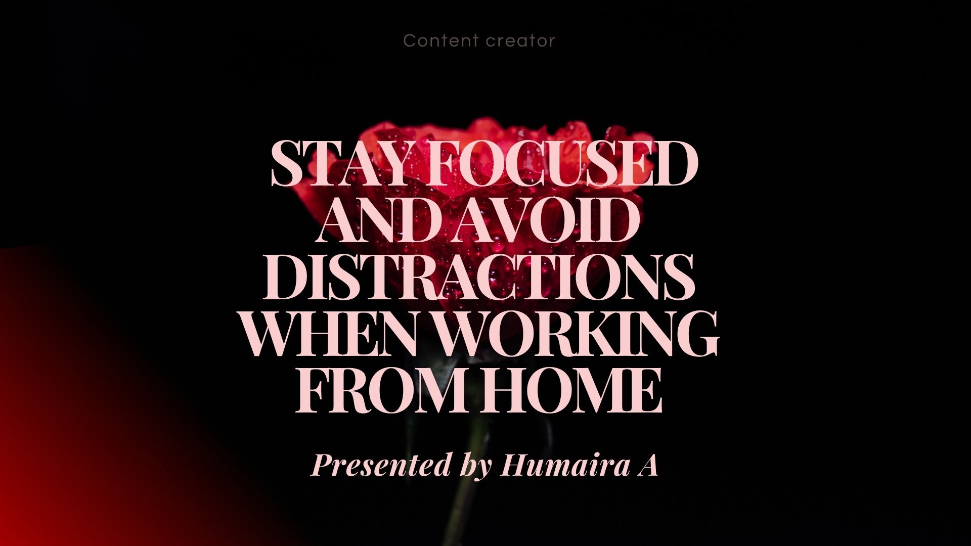 A remote worker staying focused and avoiding distractions in a clean home workspace on a laptop.